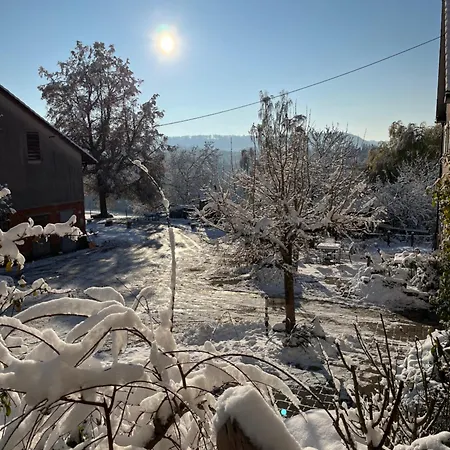 Strudelhof דירה *