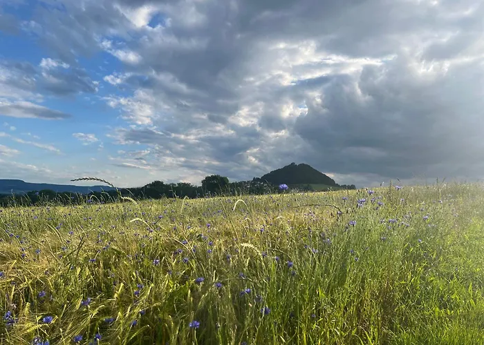 Strudelhof 아파트