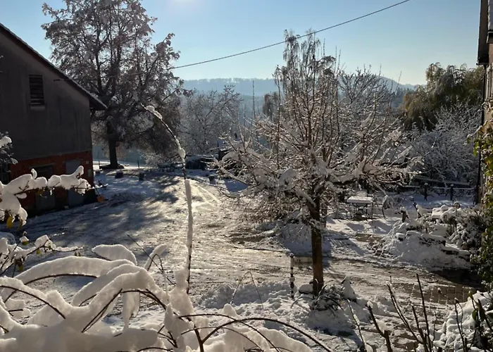 Strudelhof 아파트 *