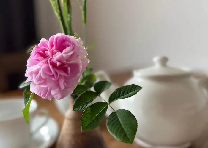 아파트 Strudelhof